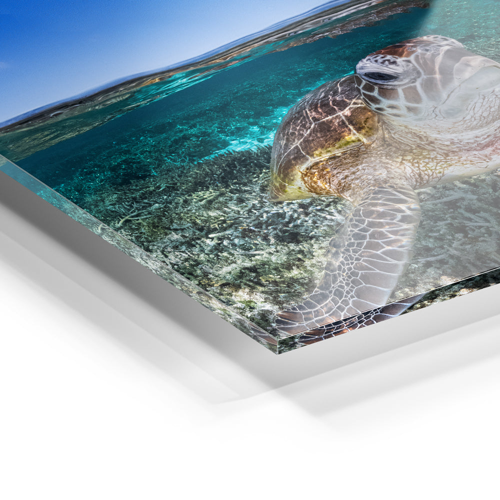 Acrylic Print