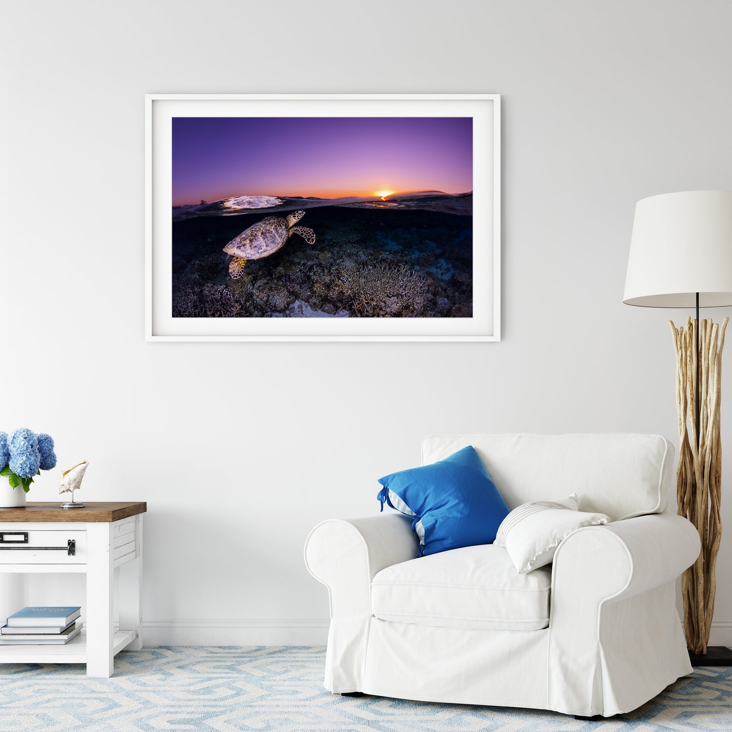 Hawksbill