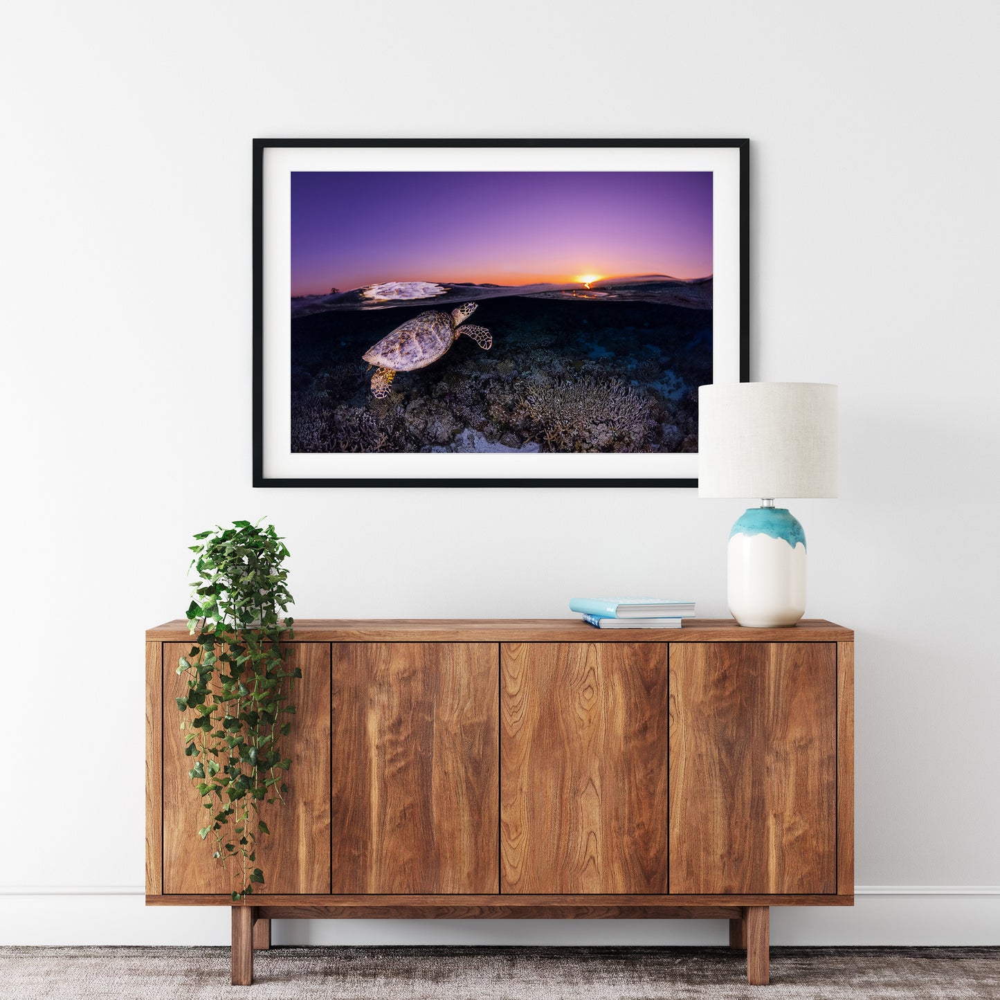 Hawksbill
