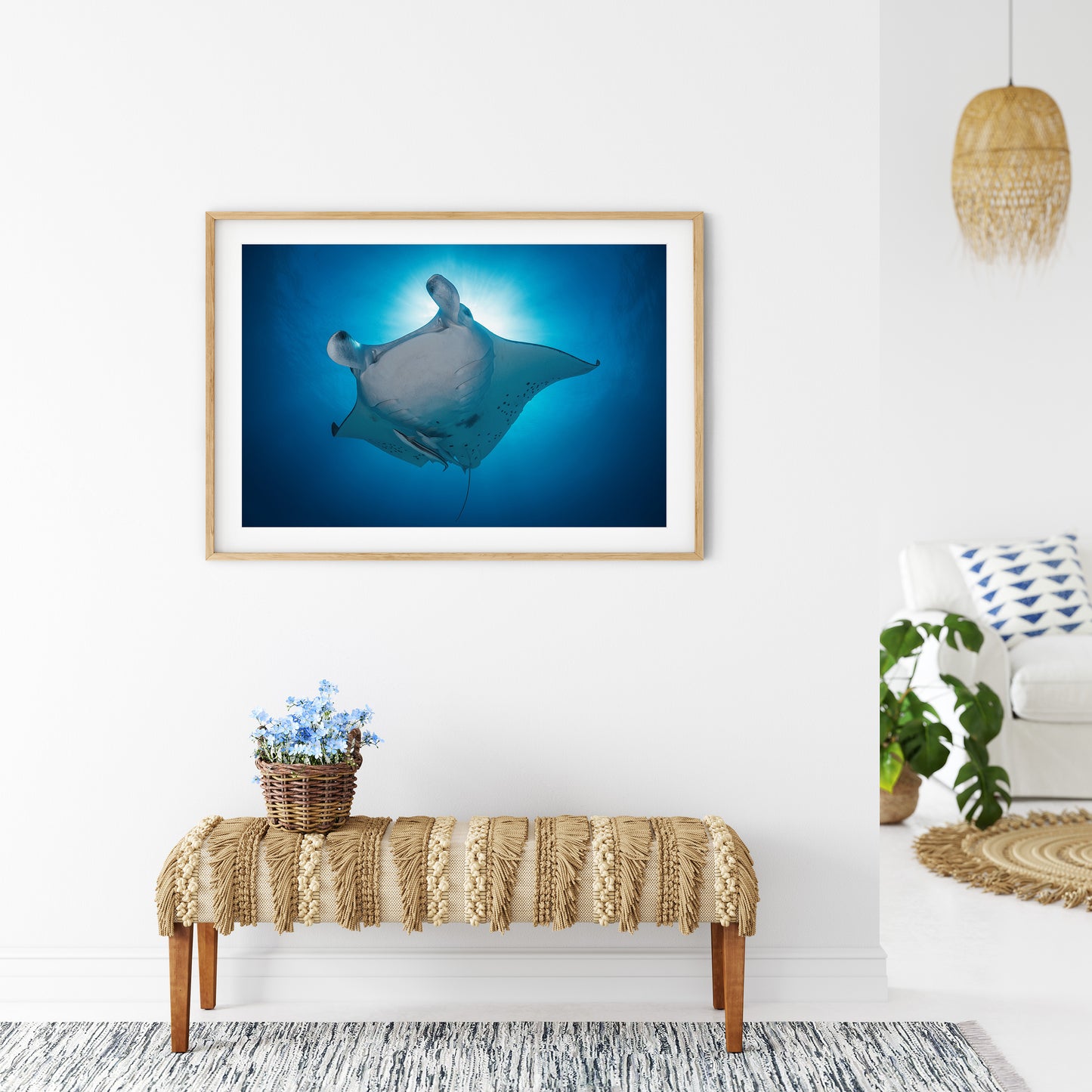 Manta Star
