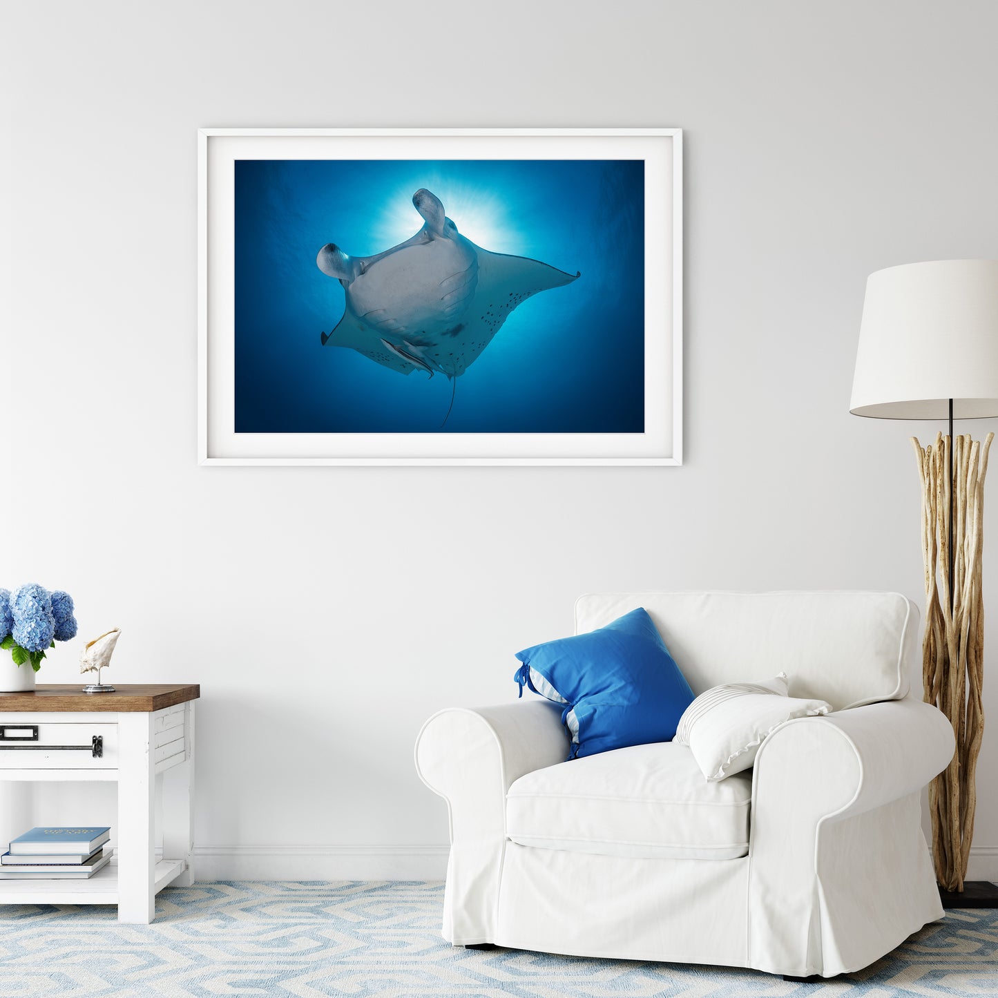 Manta Star