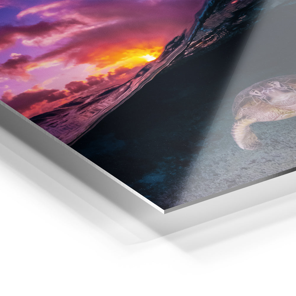 Metal Print