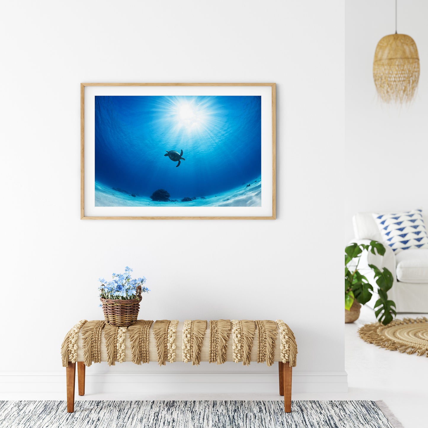 Ocean