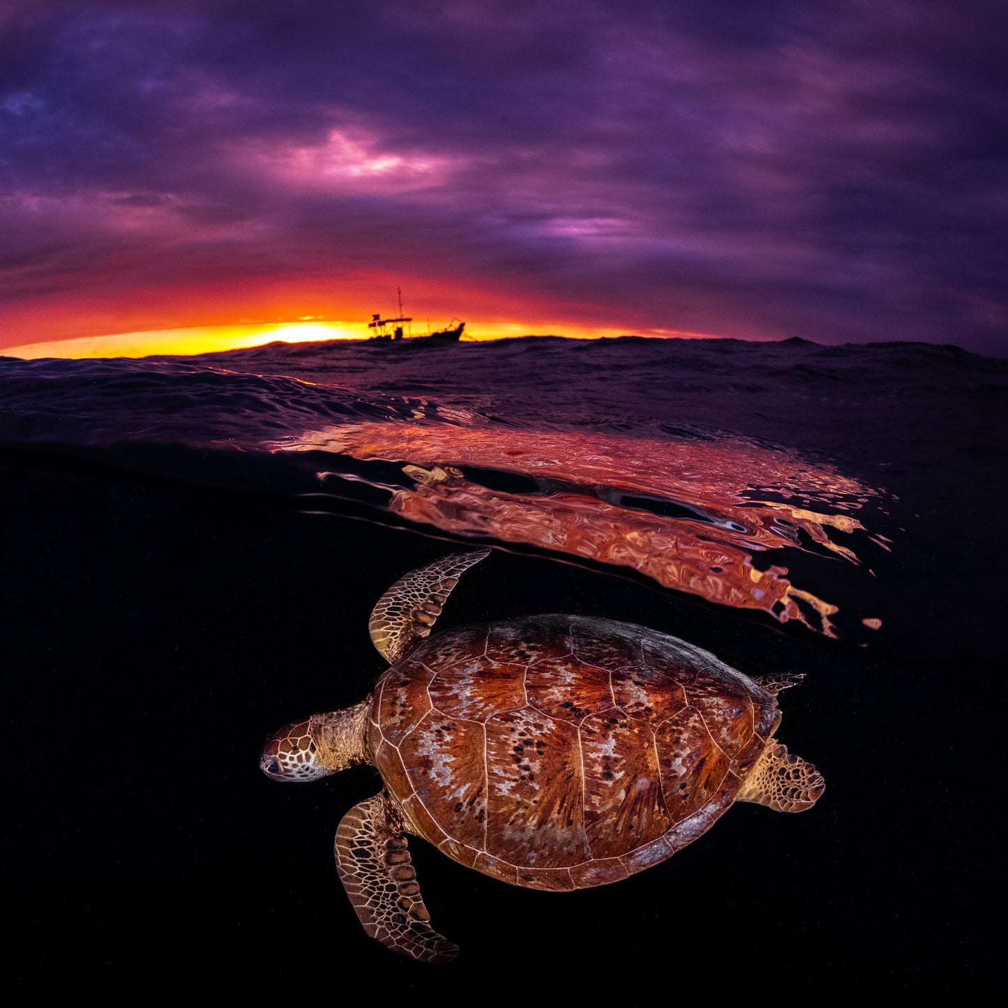 Outer Reef