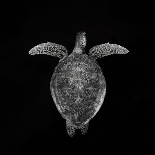 Portrait B&W