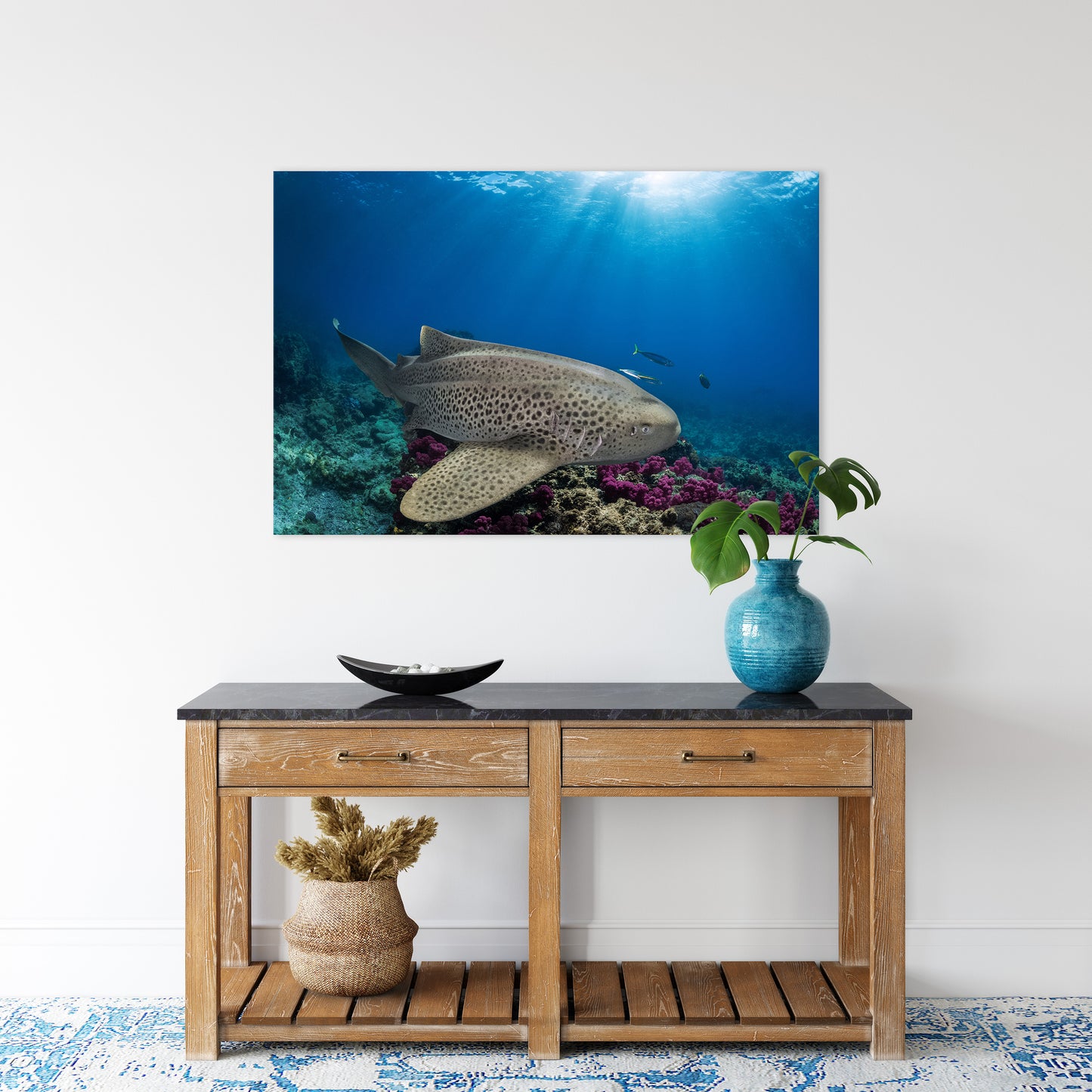 Shark Patrol